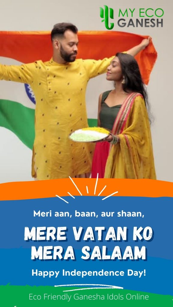 Orange Blue and Green Independence Day Hingligh Poetic Bright Whatsapp Story